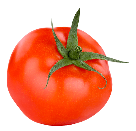 Tomate freigestellt