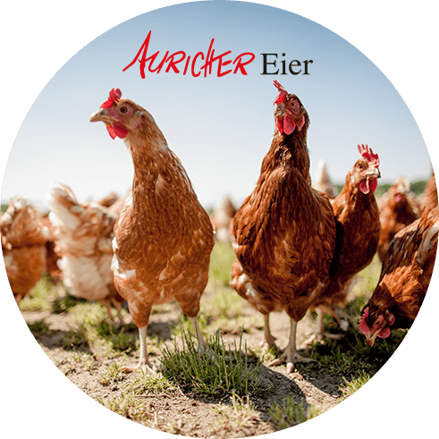 Auricher-Eier