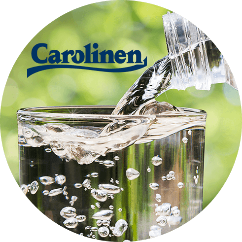 Carolinen