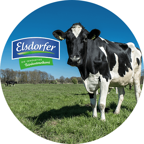 Elsdorfer