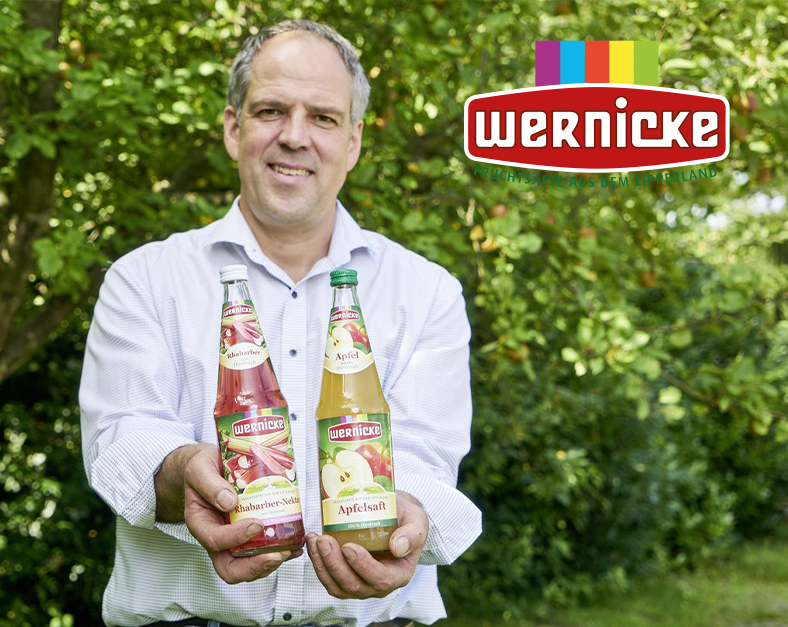 wernicke